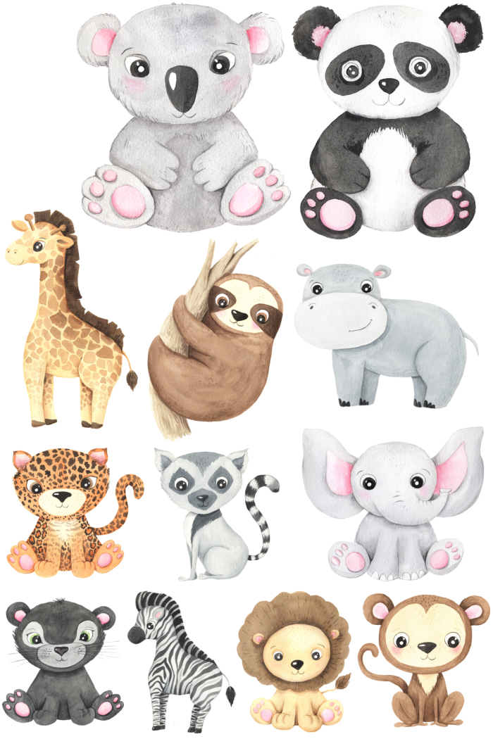 Animal Heat Transfers Bundle